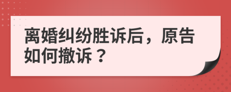 离婚纠纷胜诉后，原告如何撤诉？