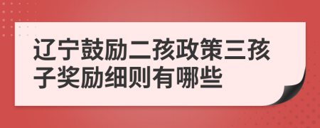 辽宁鼓励二孩政策三孩子奖励细则有哪些