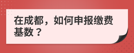 在成都，如何申报缴费基数？