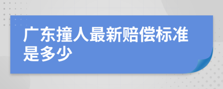 广东撞人最新赔偿标准是多少