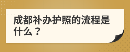 成都补办护照的流程是什么？