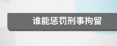 谁能惩罚刑事拘留