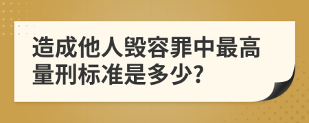 造成他人毁容罪中最高量刑标准是多少?