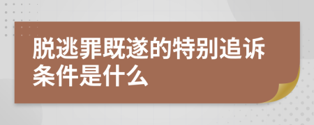 脱逃罪既遂的特别追诉条件是什么