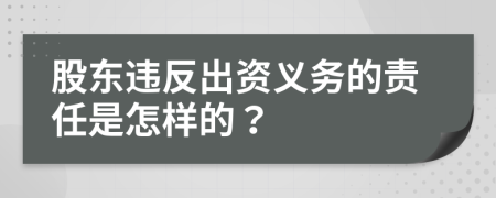 股东违反出资义务的责任是怎样的？