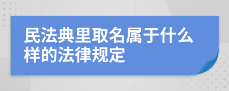 民法典里取名属于什么样的法律规定