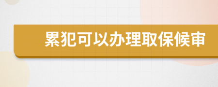 累犯可以办理取保候审