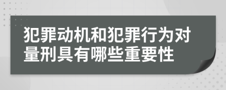 犯罪动机和犯罪行为对量刑具有哪些重要性