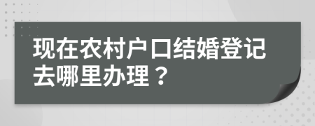 现在农村户口结婚登记去哪里办理？