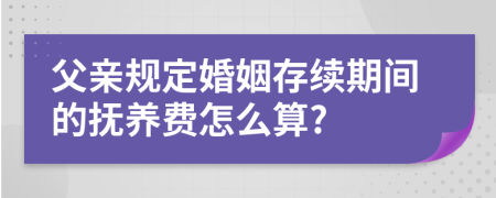 父亲规定婚姻存续期间的抚养费怎么算?