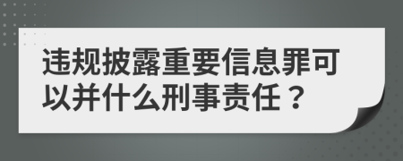 违规披露重要信息罪可以并什么刑事责任？