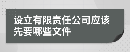 设立有限责任公司应该先要哪些文件