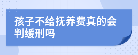 孩子不给抚养费真的会判缓刑吗