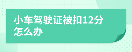 小车驾驶证被扣12分怎么办