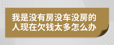 我是没有房没车没房的人现在欠钱太多怎么办