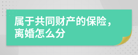 属于共同财产的保险，离婚怎么分