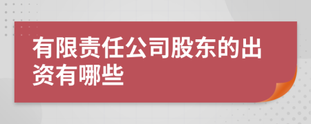 有限责任公司股东的出资有哪些