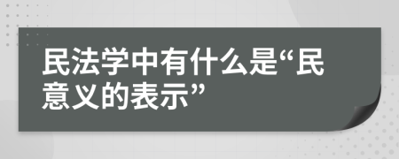 民法学中有什么是“民意义的表示”
