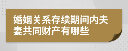 婚姻关系存续期间内夫妻共同财产有哪些