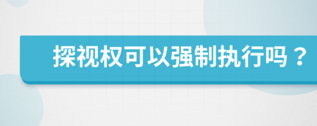 探视权可以强制执行吗？