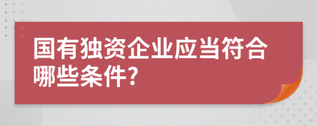 国有独资企业应当符合哪些条件?