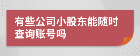 有些公司小股东能随时查询账号吗