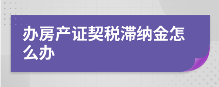 办房产证契税滞纳金怎么办