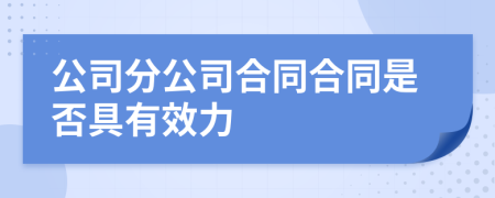 公司分公司合同合同是否具有效力