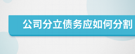 公司分立债务应如何分割