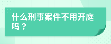 什么刑事案件不用开庭吗？