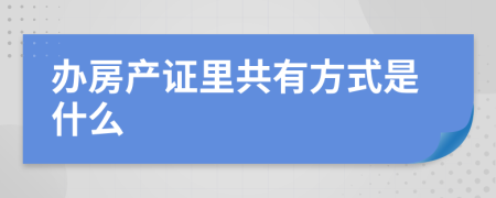 办房产证里共有方式是什么