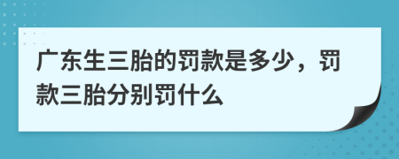 广东生三胎的罚款是多少，罚款三胎分别罚什么