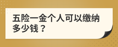 五险一金个人可以缴纳多少钱？