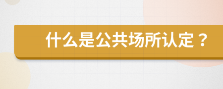 什么是公共场所认定？