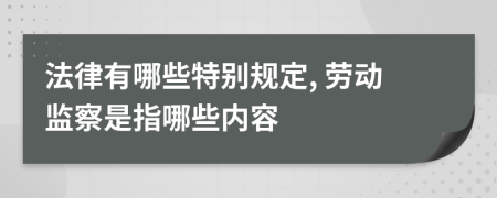 法律有哪些特别规定, 劳动监察是指哪些内容