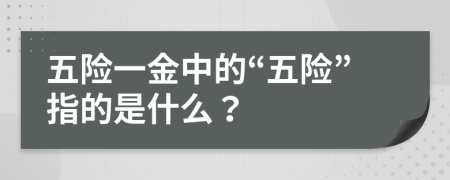 五险一金中的“五险”指的是什么？