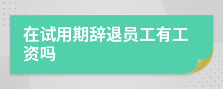 在试用期辞退员工有工资吗