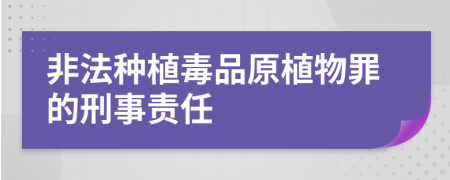 非法种植毒品原植物罪的刑事责任