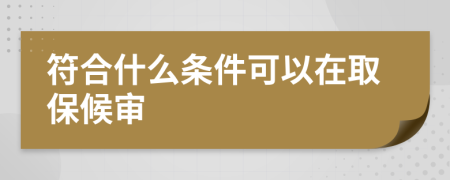 符合什么条件可以在取保候审