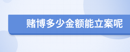 赌博多少金额能立案呢