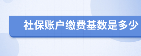 社保账户缴费基数是多少