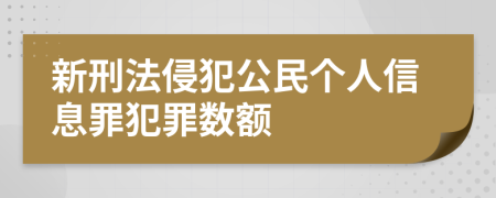 新刑法侵犯公民个人信息罪犯罪数额