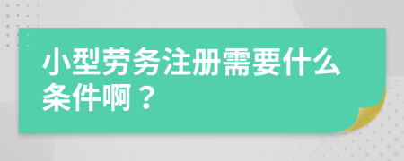 小型劳务注册需要什么条件啊？