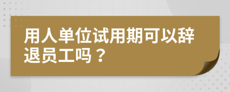 用人单位试用期可以辞退员工吗？