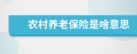 农村养老保险是啥意思