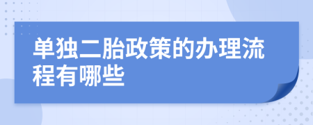 单独二胎政策的办理流程有哪些