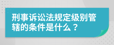 刑事诉讼法规定级别管辖的条件是什么？