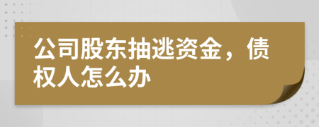 公司股东抽逃资金，债权人怎么办