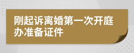刚起诉离婚第一次开庭办准备证件