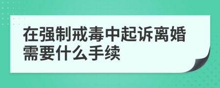 在强制戒毒中起诉离婚需要什么手续